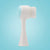 Beauty Skin Care Face Wash Cleansing Instrument - Twin suppliers 