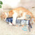 Cat USB Charger Toy Fish Interactive Electric floppy Fish Cat toy - Twin suppliers 