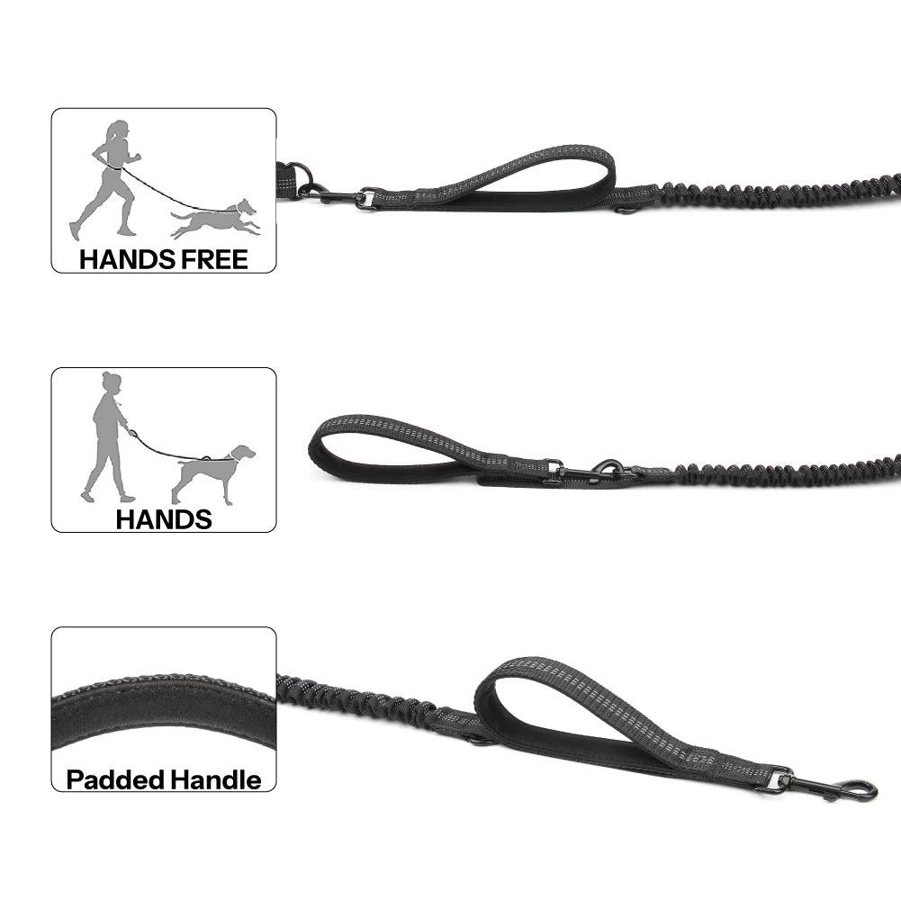 High Qulity Retractable Hands Free Dog Leash - Twin suppliers 