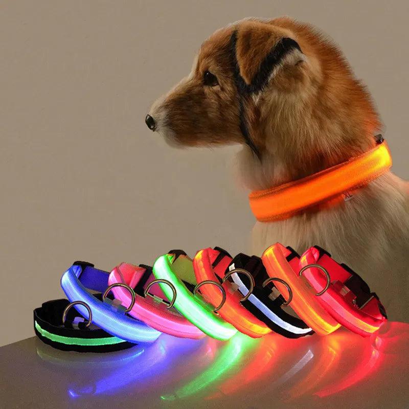 Led Dog Collar Light Anti-lost Collar For Dogs Puppies - Twin suppliers 