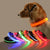 Led Dog Collar Light Anti-lost Collar For Dogs Puppies - Twin suppliers 