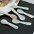 New 1PC Natural Conch Shell Ice Cream Coffee Spoon Caviar Spoon Mother of Pearl Seashells Stirring Spoons Teaspoon Kitchen Tool - Twinsupliers