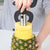 New Arrival, Pineapple Slicer Peeler Cutter Parer Knife Stainless Steel Kitchen Fruit Tools Cooking Tools Free Shipping - Twin suppliers 