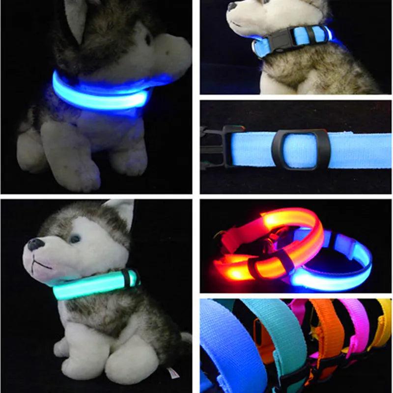 Nylon Pet Dog Collar LED Light Night Safety Pets Supplies Cat LED Dog Collar For Small Dogs LED Collars Glowing Pet Accessories - Twin suppliers 