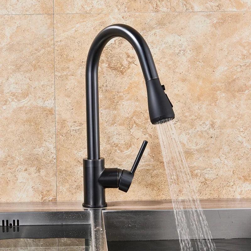 Rozin Pull Out Gourmet Kitchen Faucet Tap SUS304 Black Single Handle Kitchen Sink Mixer Tap 2 in 1 Spout Hot Cold Water Crane - Twinsupliers