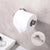 Toilet Paper Holder Stainless Steel Paper Tissue Rack - Twinsupliers