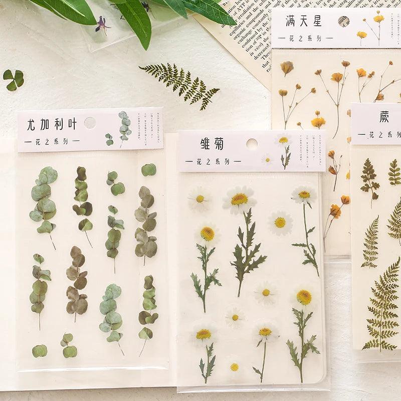 Yoofun Daisy Clover Babysbreath Fern Transparent PET Stickers Flowers Leaves Plants Sticker for Scrapbooking Bullet Journal Deco - Twinsupliers